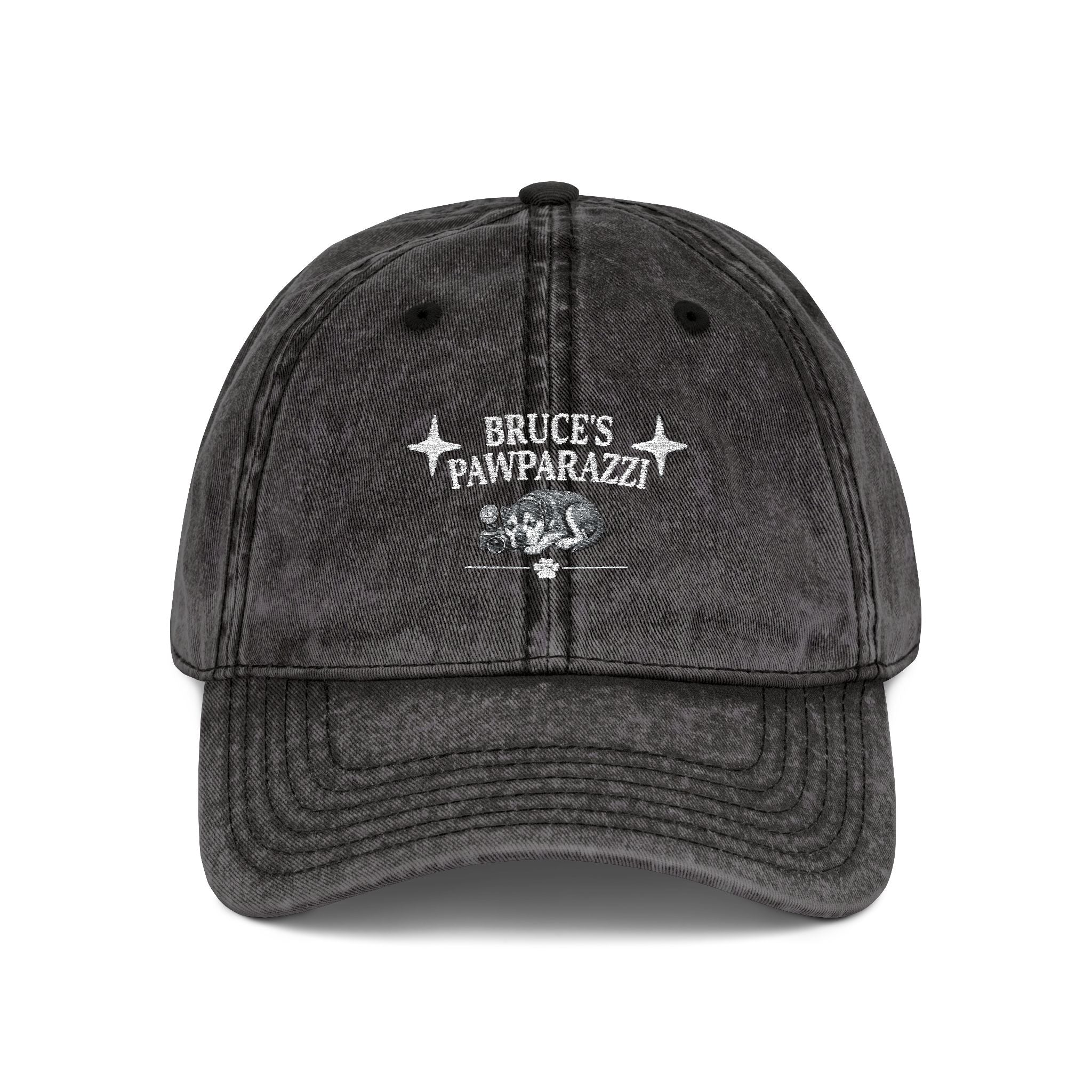 Bruce's Pawparazzi - Vintage Baseball Cap