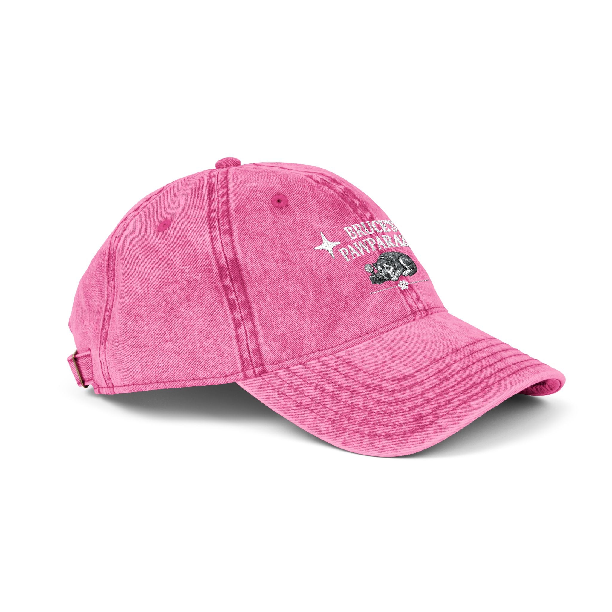 Bruce's Pawparazzi - Vintage Baseball Cap