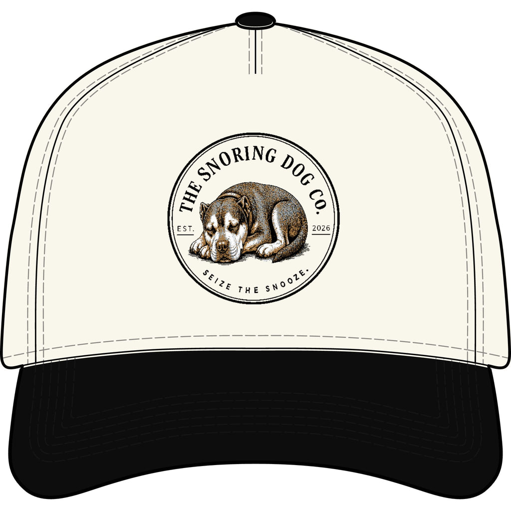 Frame Two-Tone Cap