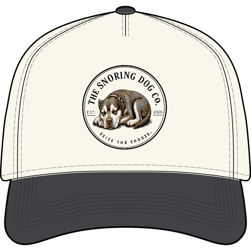 Frame Two-Tone Cap
