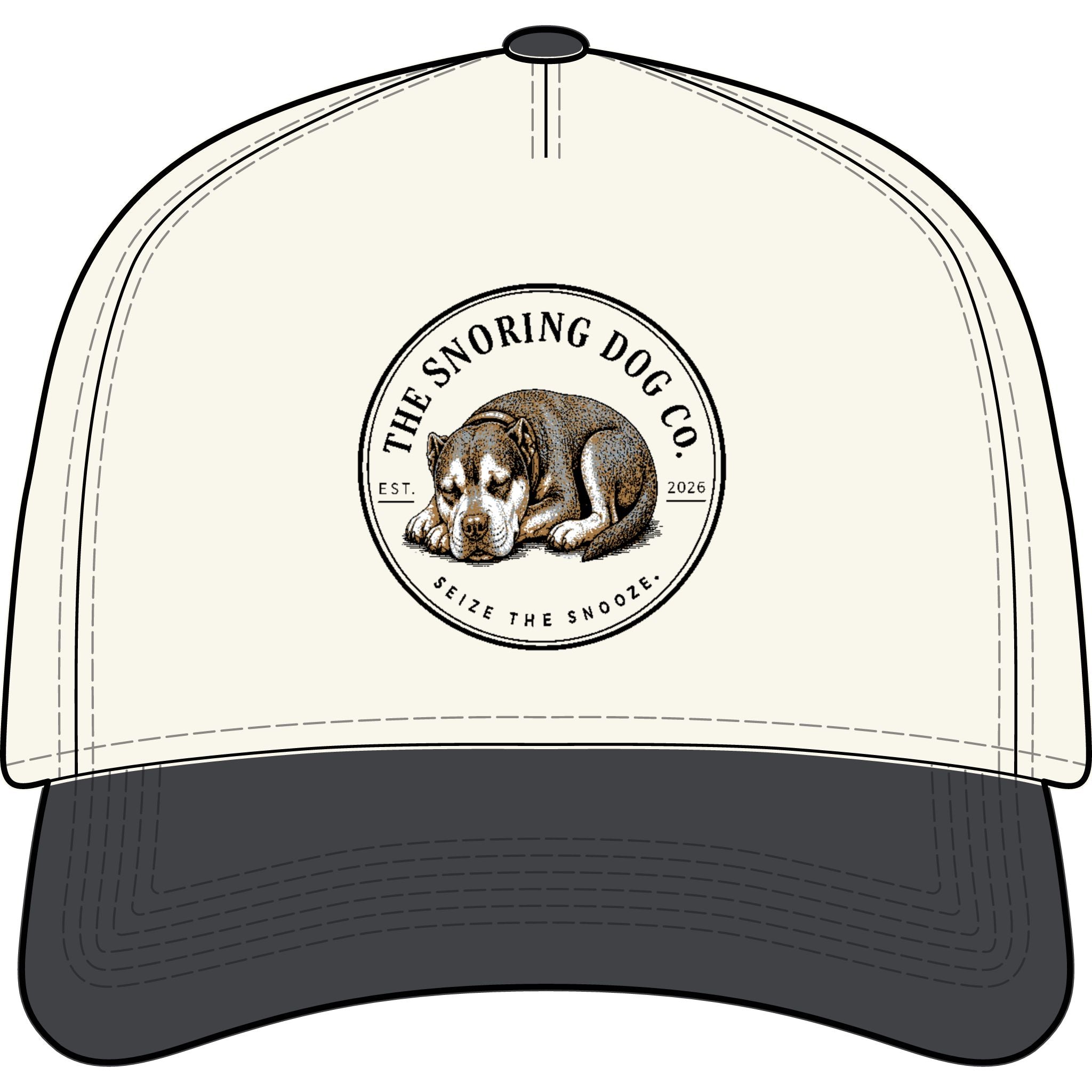 Frame Two-Tone Cap