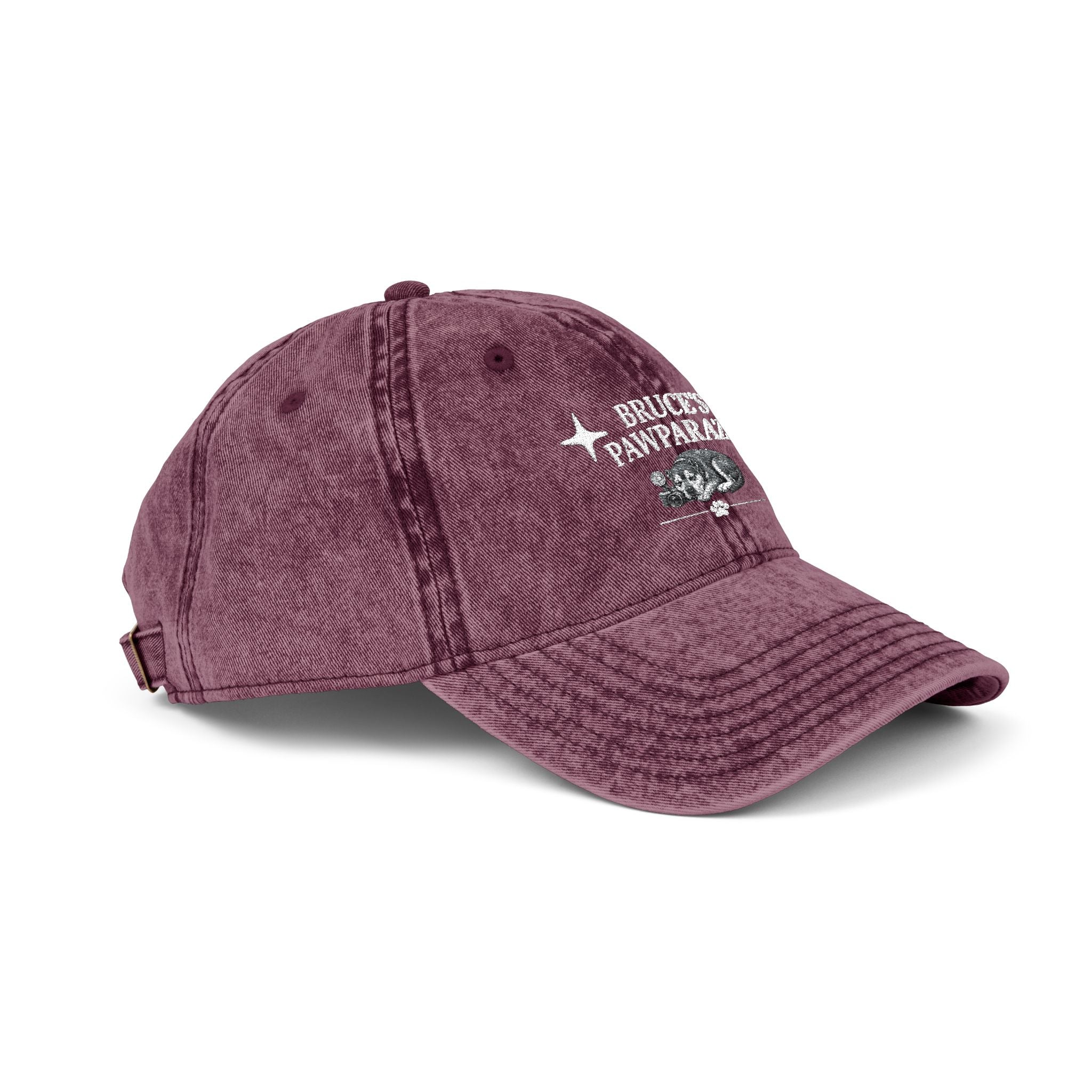 Bruce's Pawparazzi - Vintage Baseball Cap