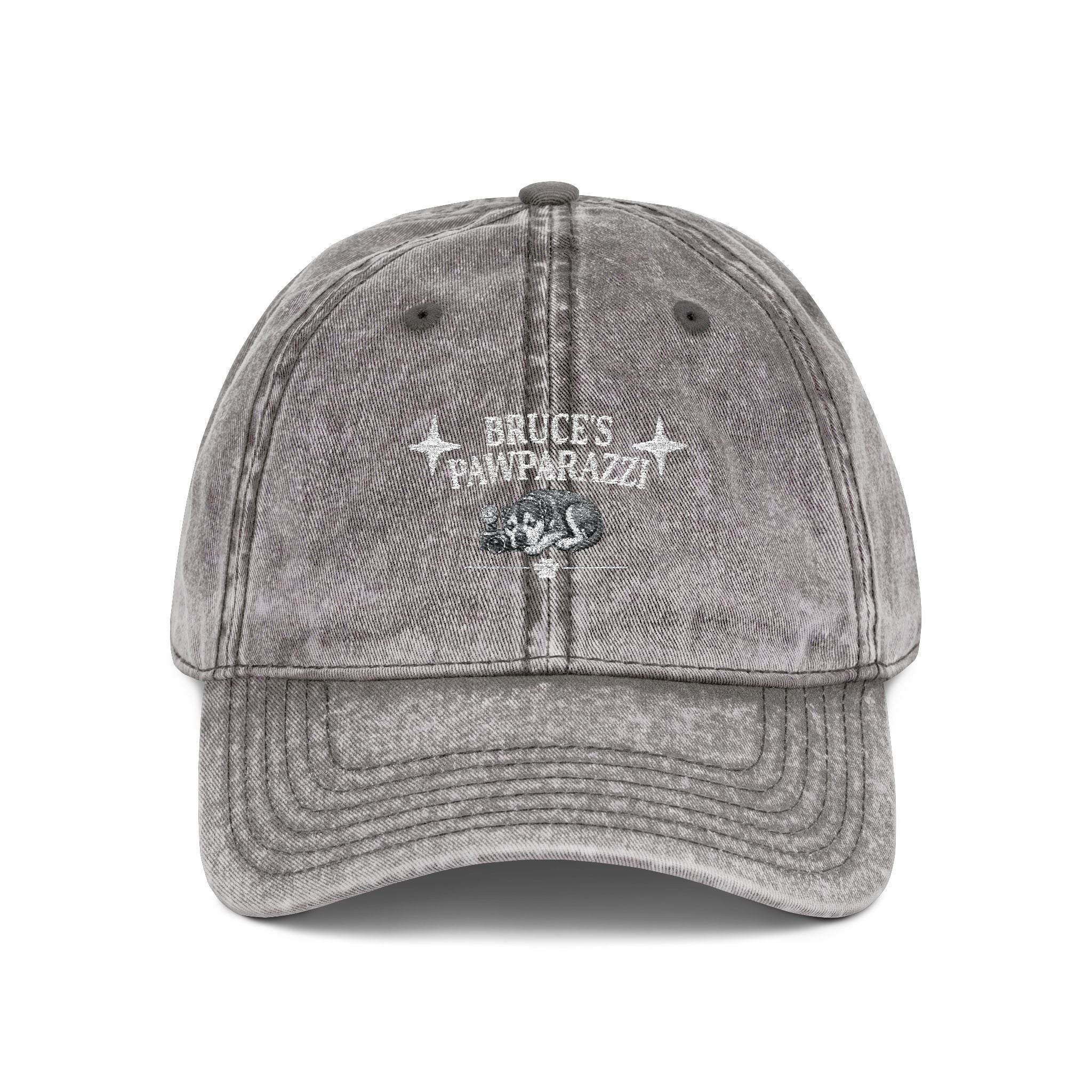 Bruce's Pawparazzi - Vintage Baseball Cap