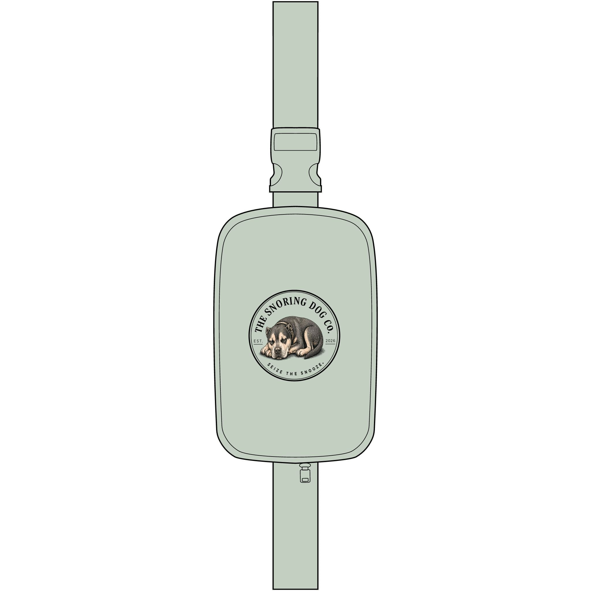 TSDC Patch Crossbody