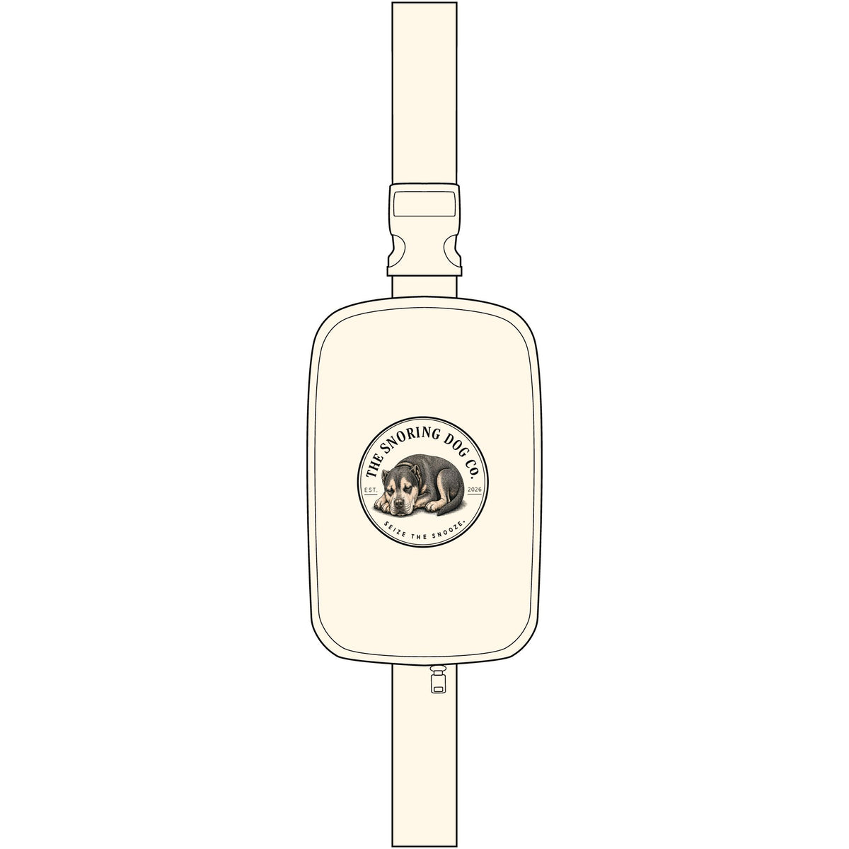 TSDC Patch Crossbody