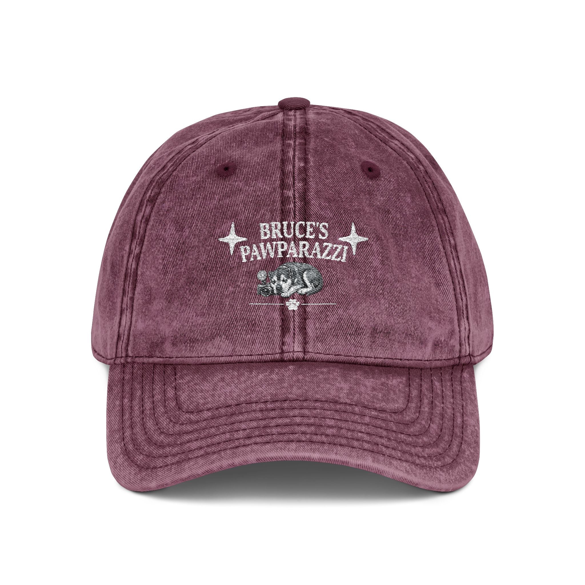 Bruce's Pawparazzi - Vintage Baseball Cap