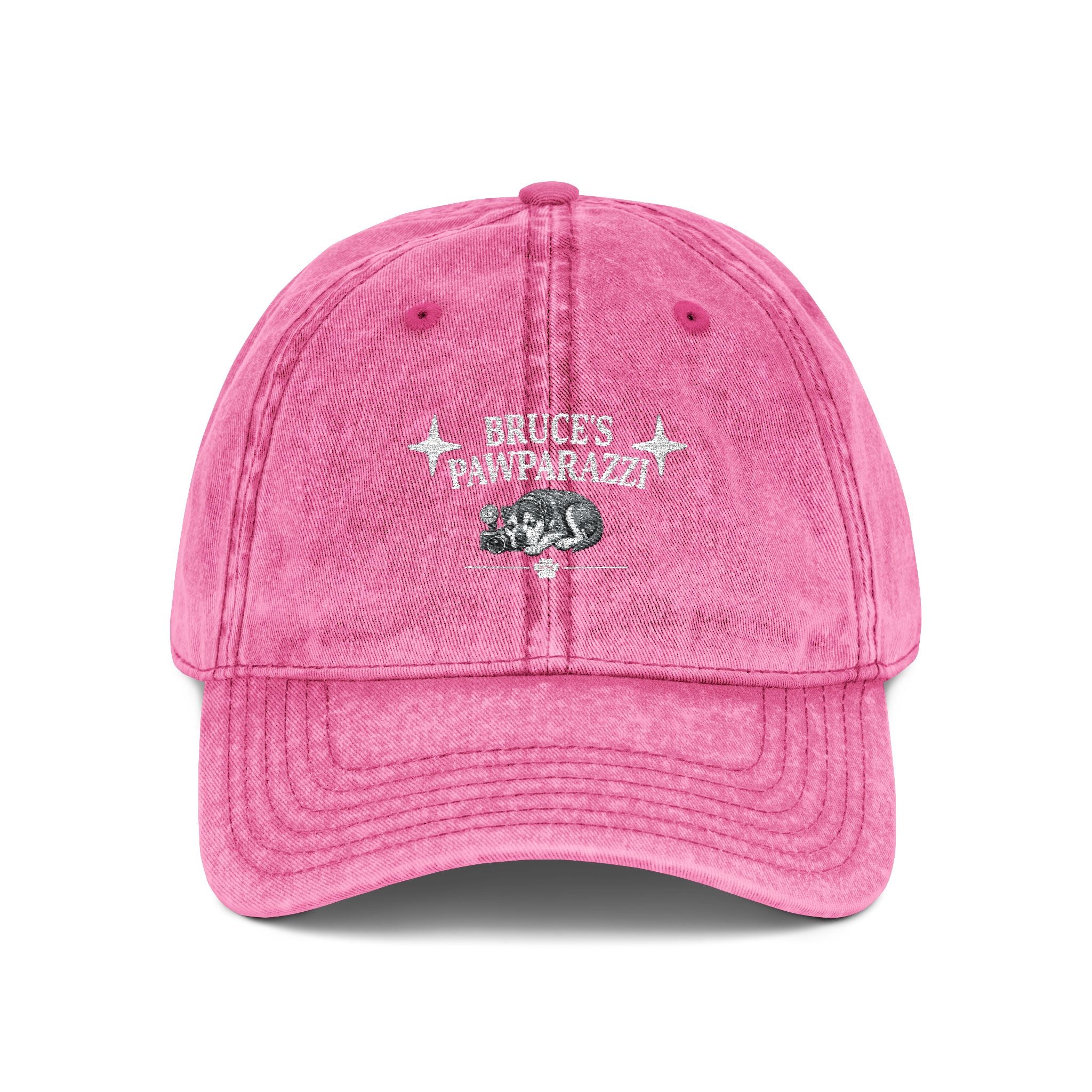 Bruce's Pawparazzi - Vintage Baseball Cap