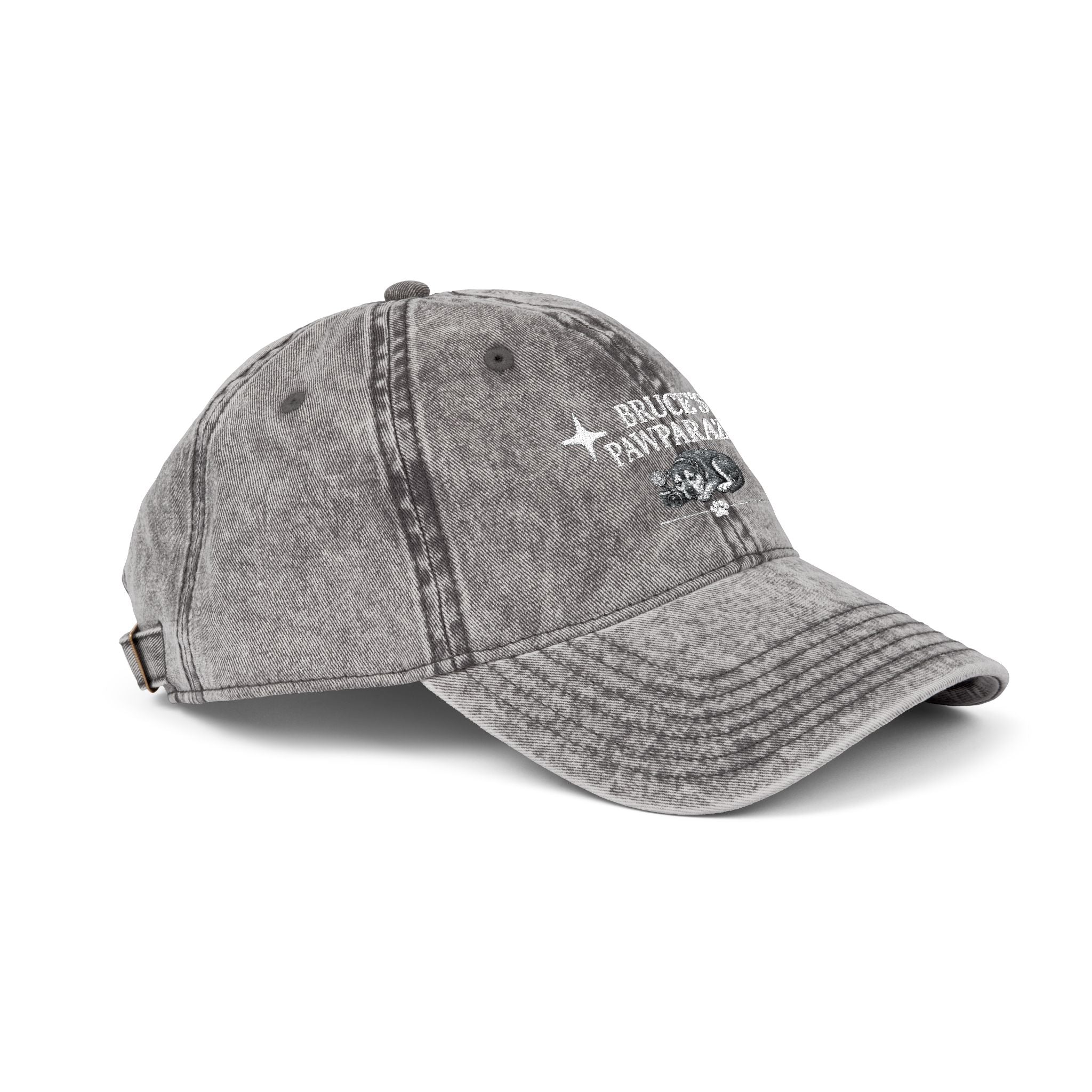 Bruce's Pawparazzi - Vintage Baseball Cap