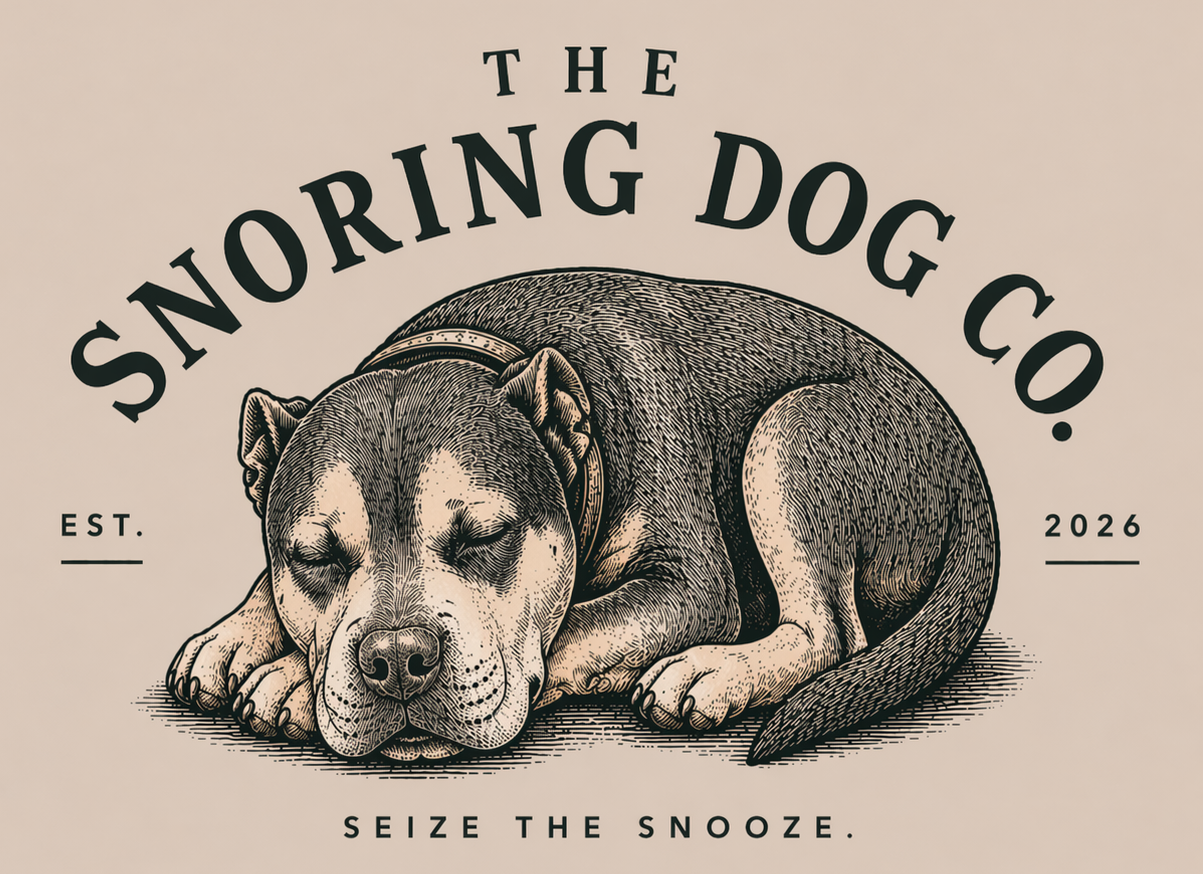 The Snoring Dog